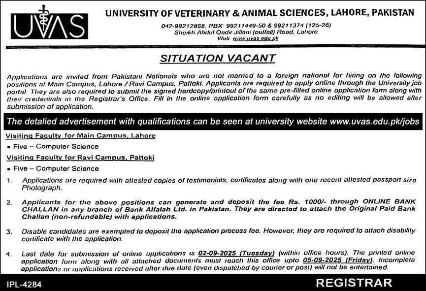 Jobs in University of Veterinary & Animal Sciences Lahore